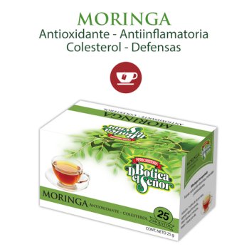 MORINGA 25 SAQUITOS 61061